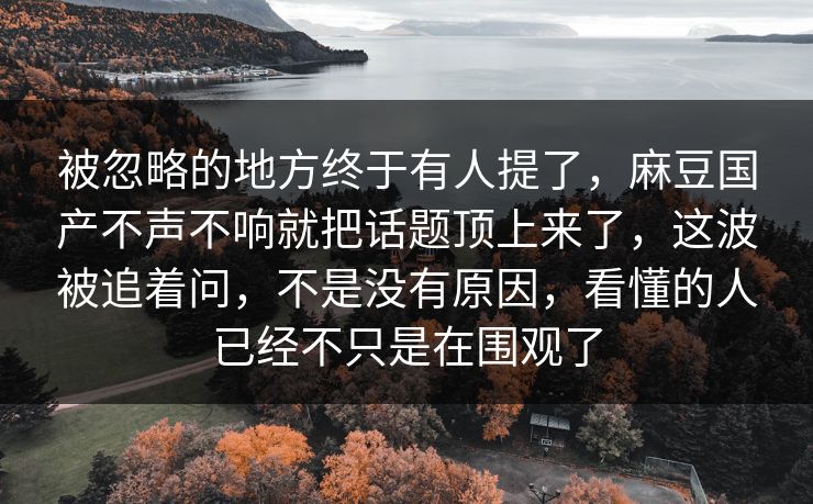 被忽略的地方终于有人提了，麻豆国产不声不响就把话题顶上来了，这波被追着问，不是没有原因，看懂的人已经不只是在围观了  第1张