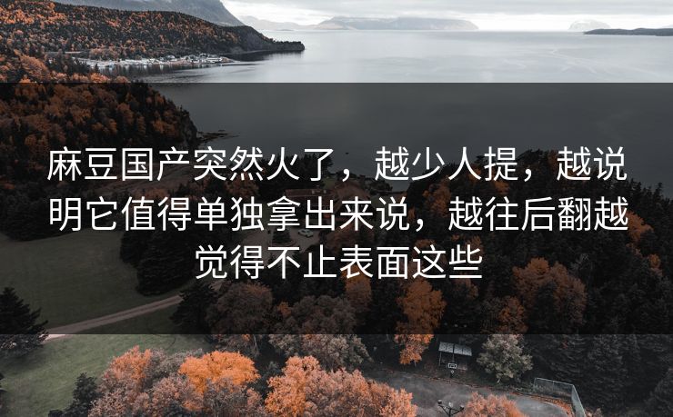 麻豆国产突然火了，越少人提，越说明它值得单独拿出来说，越往后翻越觉得不止表面这些  第1张