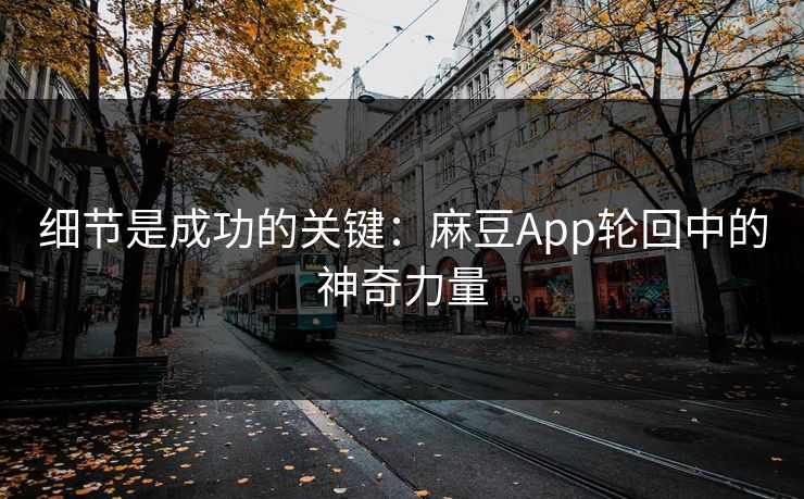 细节是成功的关键：麻豆App轮回中的神奇力量  第1张