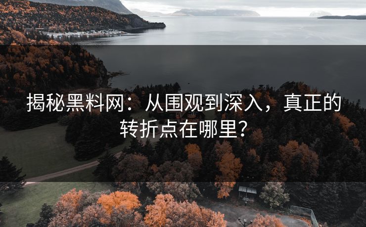 揭秘黑料网：从围观到深入，真正的转折点在哪里？  第1张