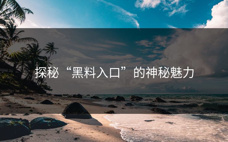 探秘“黑料入口”的神秘魅力  第1张
