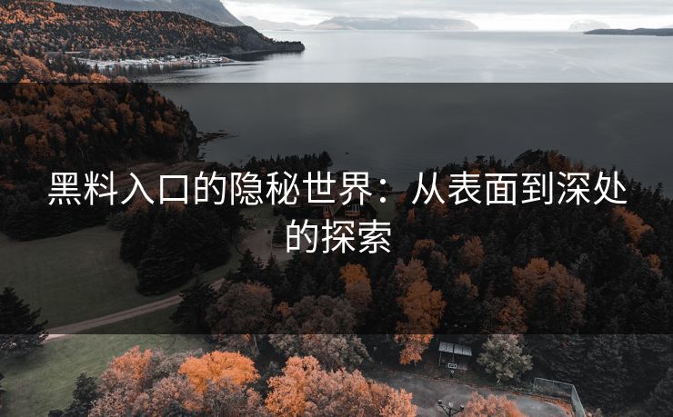 黑料入口的隐秘世界：从表面到深处的探索  第1张