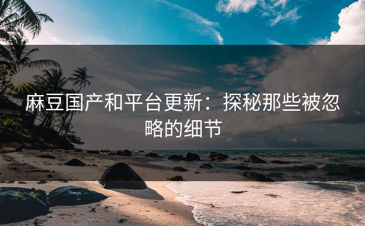 麻豆国产和平台更新：探秘那些被忽略的细节  第1张