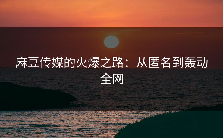 麻豆传媒的火爆之路：从匿名到轰动全网  第1张