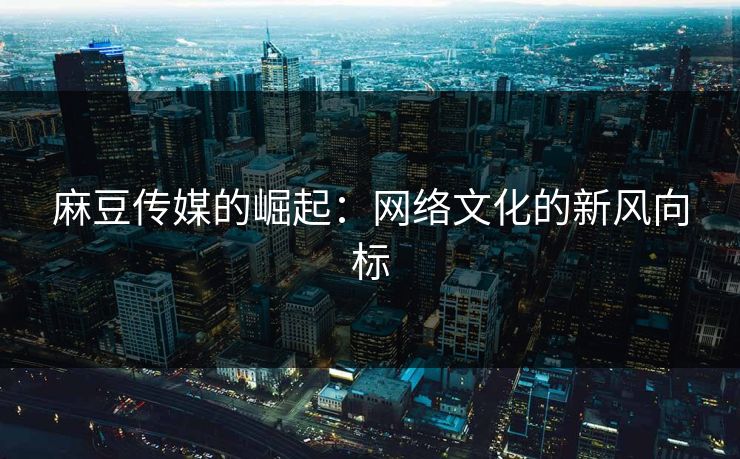 麻豆传媒的崛起：网络文化的新风向标  第1张