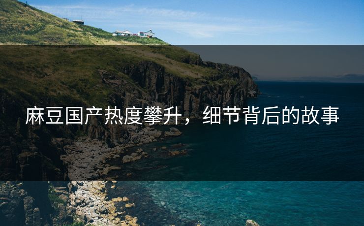 麻豆国产热度攀升，细节背后的故事  第1张