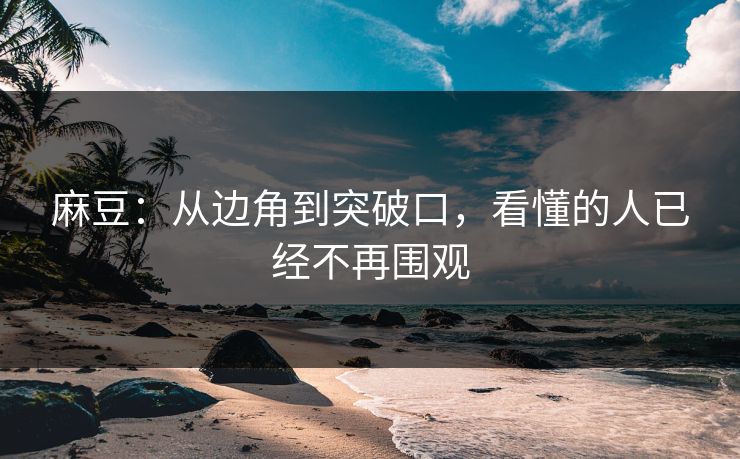 麻豆:从边角到突破口,看懂的人已经不再围观 麻豆:从边角到突破口,看懂的人已经不再围观