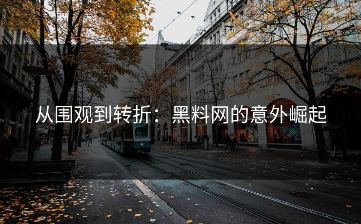 从围观到转折：黑料网的意外崛起  第1张